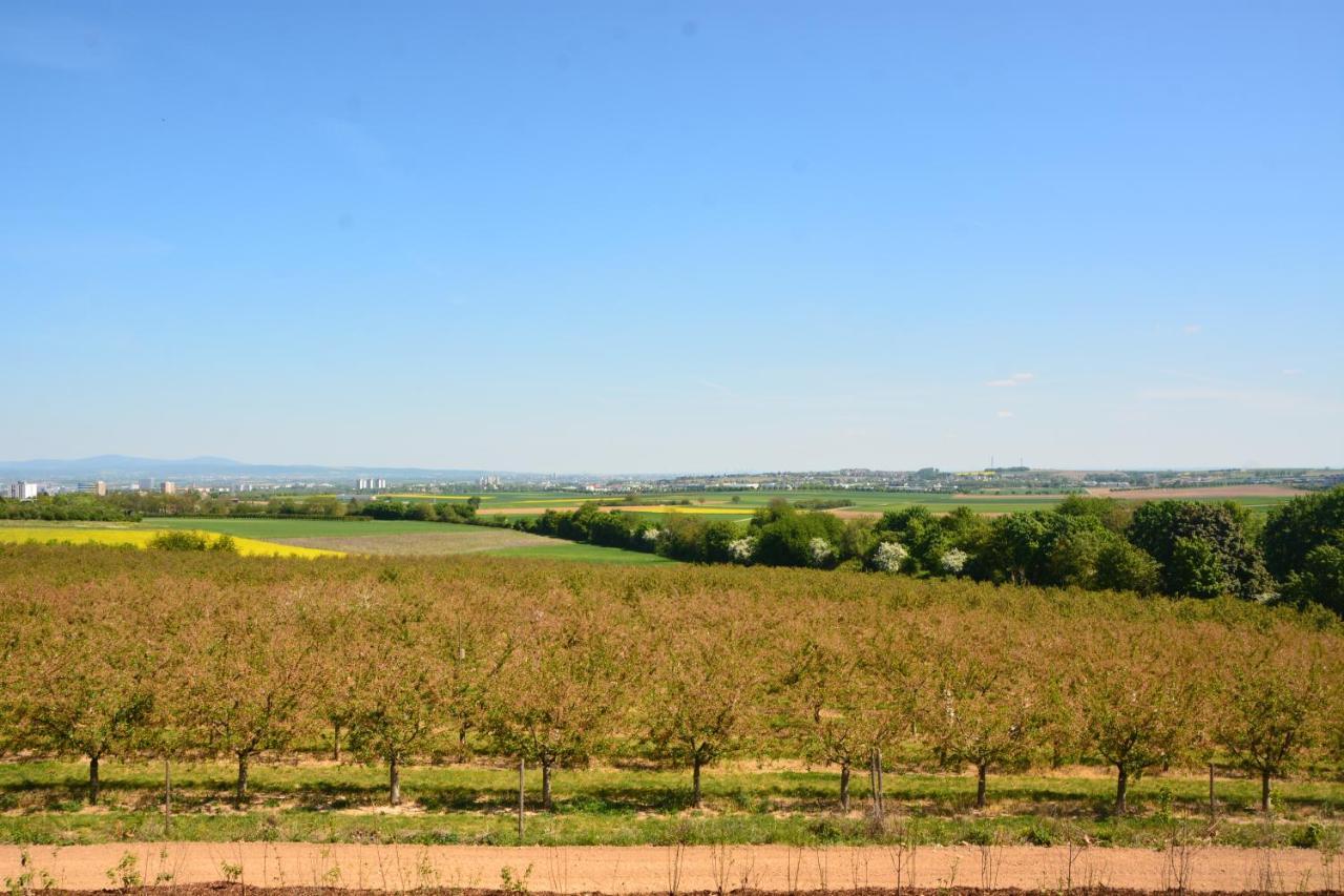 Weingut Bugner Meizelhof Klein-Winternheim エクステリア 写真